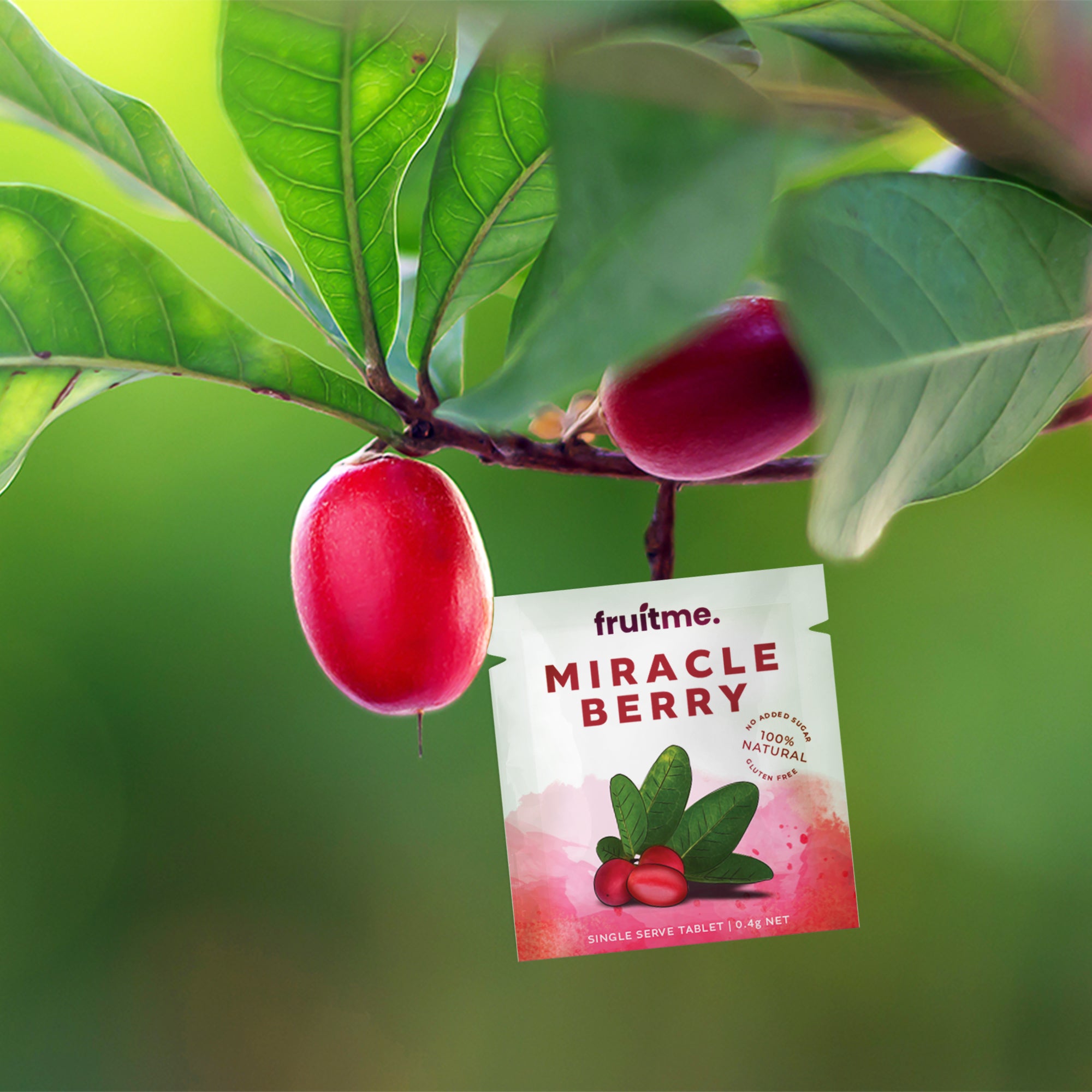 Miracle Berry Single Serve x3